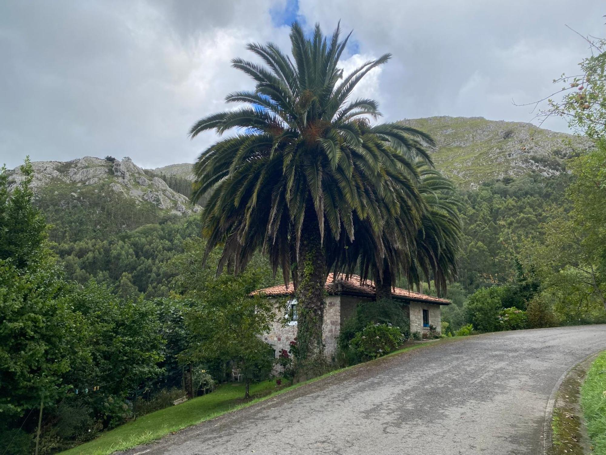 카라비아 Casa Estilo Rural Con Jardin Entre Playa Y Montana 빌라 외부 사진